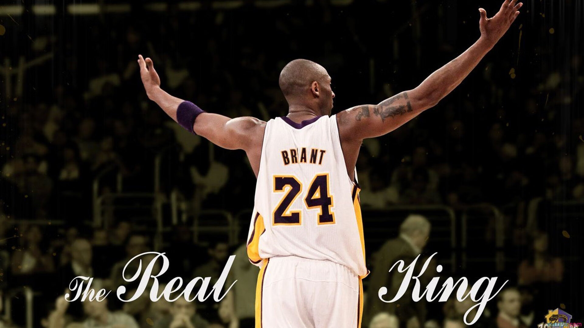 马刺对阵爵士，霍勒迪如何成为全队节奏的隐形指挥家